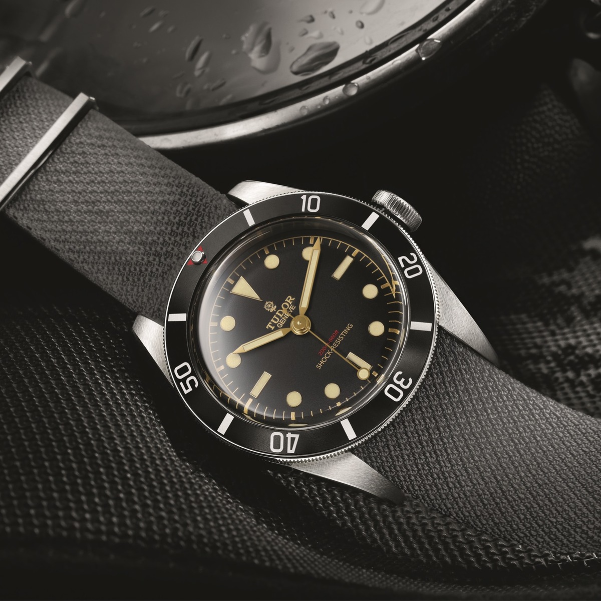 REVEALED: TUDOR HERITAGE BLACK BAY ONE