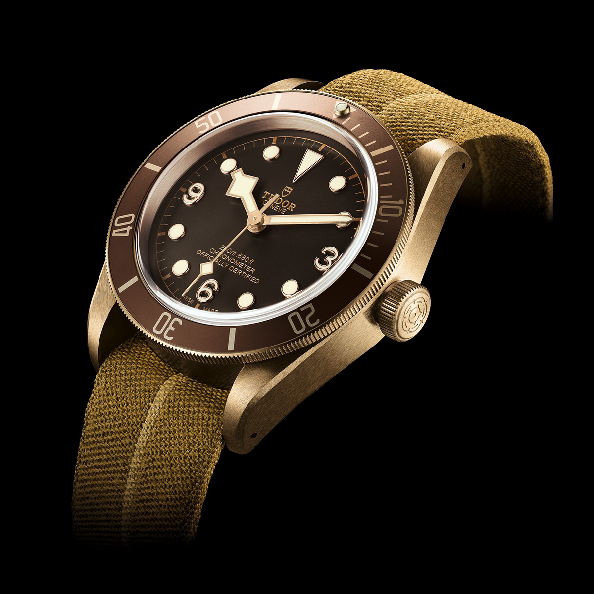 NEW: TUDOR HERITAGE BLACK BAY BRONZE