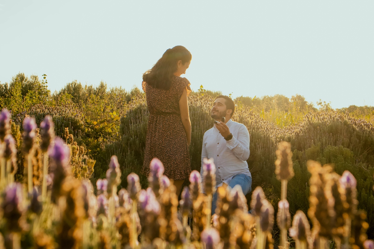 A proposal in a botanical garden