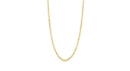 a yellow gold chain necklace by Roberto Coin