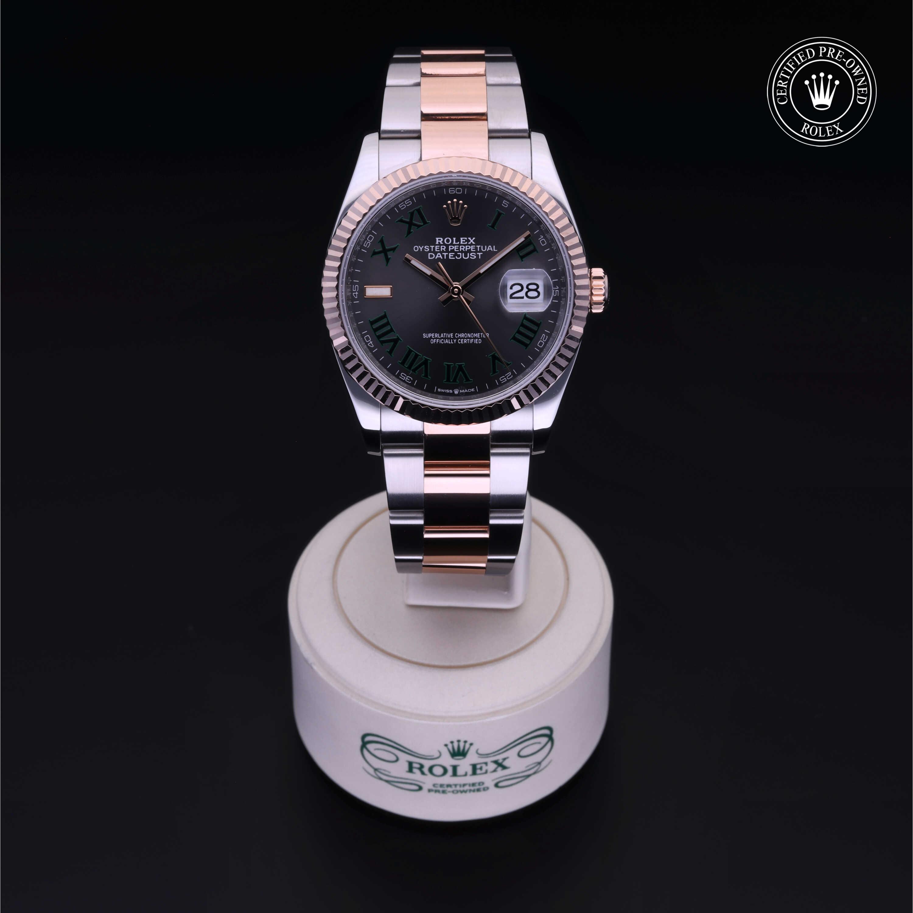 Rolex Datejust in Rolesor 18 Carat Red M126231-0030 at Kirk Jewelers