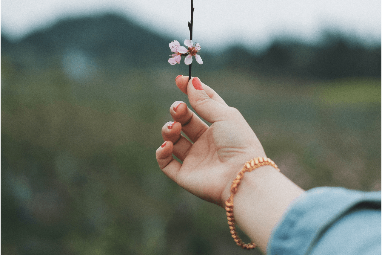 A close up of an extended hand holding a pink flower, showcasing a rose gold chain bracelet